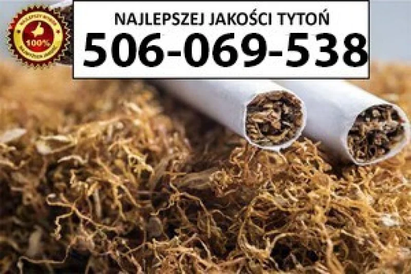 SUPER Jakości TYTOŃ 80 PLN / 1KG